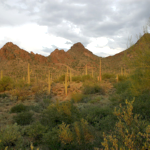 tucson mountains