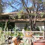 11011 E Tanque Verde Road, Tucson